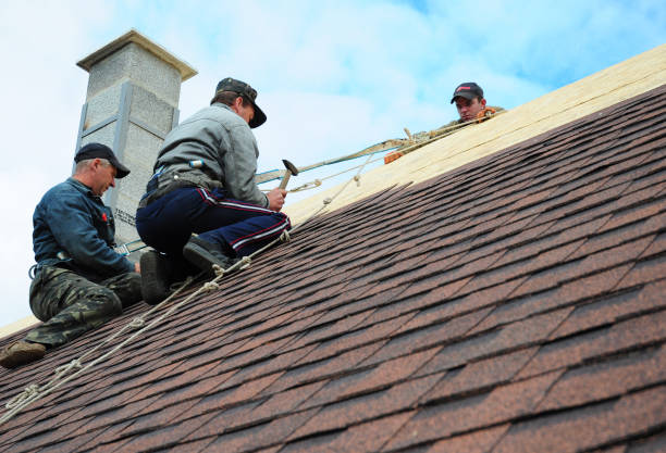 Best Roof Leak Repair  in Forest Oaks, NC